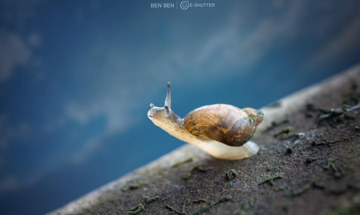 最强蜗牛：能量惊人的游戏评测