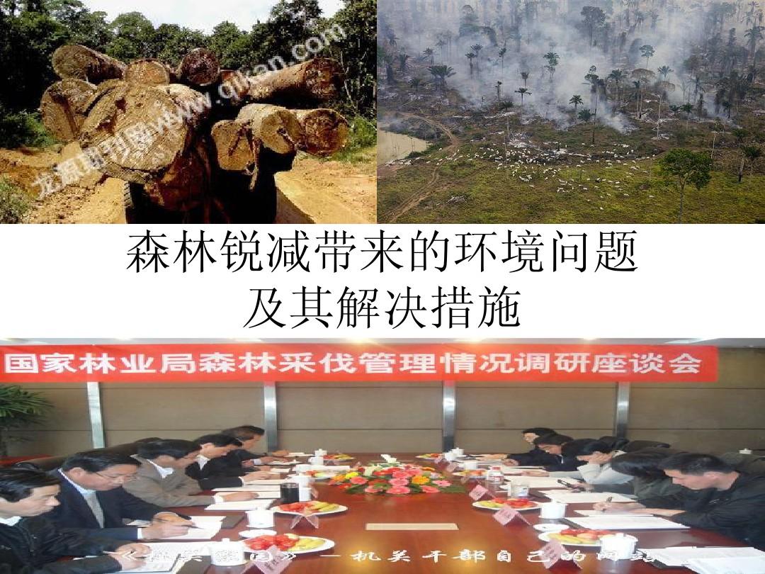 保护森林：森林锐减的解决之道