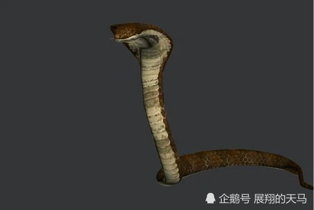 眼镜蛇模拟器：无限血量带来的绝对优势
