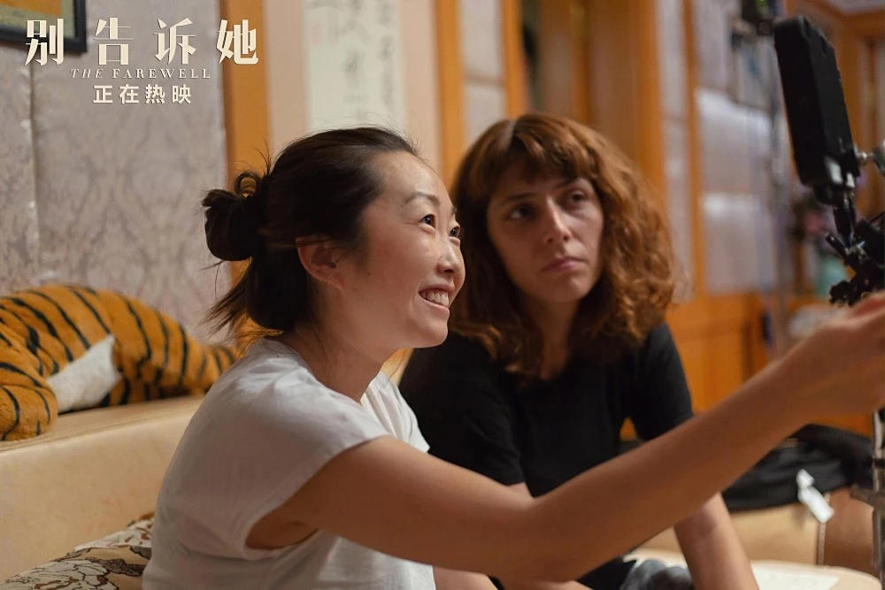 电影理论：三三电影网解读