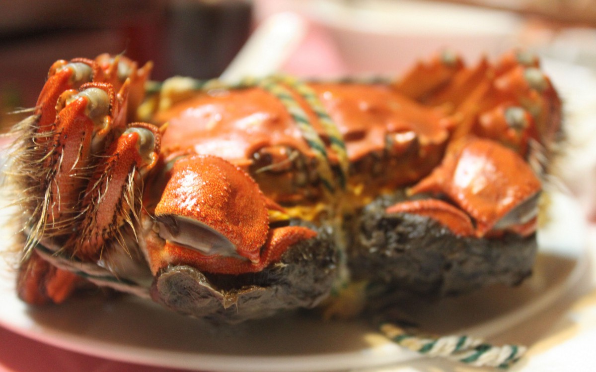 螃蟹杀法视频_螃蟹大猎杀_大螃蟹如何杀