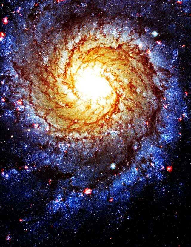 英雄体型_天体英雄_天体英雄材料