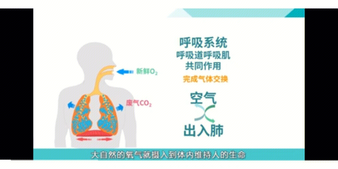 左藤空气——左藤山脚下的清新宜人，充满活力