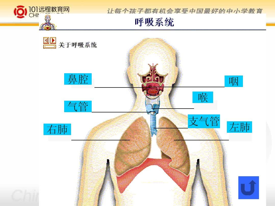 左藤空气id_左藤爱_左藤空气