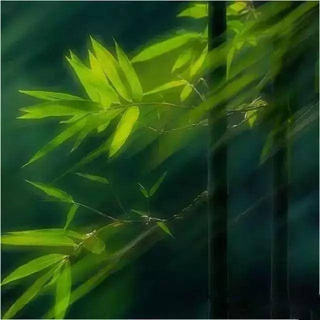 灵风是什么意思_灵风怎么合成_灵风
