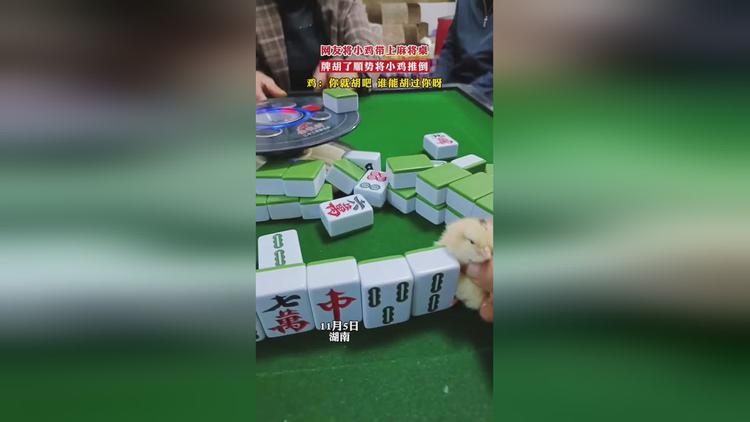麻气划水麻将_mia气划水麻将_mia气划水麻将怎么赢