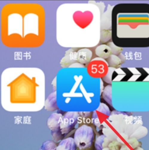 苹果下游戏慢,揭秘原因及解决方案