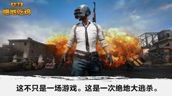 免费吃鸡游戏下载,揭秘热门吃鸡游戏下载攻略
