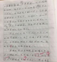 写玩游戏的作文,我的游戏体验之旅
