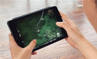 ipad有什么游戏好玩,十大热门好玩游戏推荐