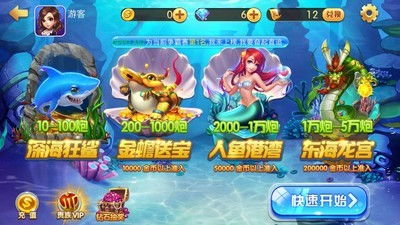 金蟾游戏,探寻财富与奇幻的奇幻之旅