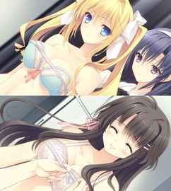 求h游戏,解锁求h游戏的奇幻冒险之旅