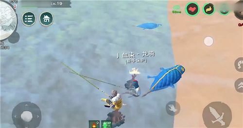 鲤鱼视频游戏,体验无尽冒险