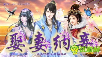 可以娶妻纳妾的游戏,一夫多妻的传奇人生游戏