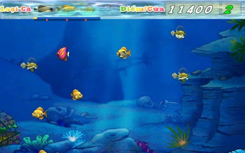 大鱼吃小鱼单人游戏,大鱼吃小鱼单人冒险之旅