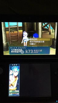 3ds汉化游戏,畅享精彩冒险之旅