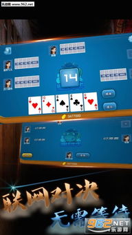 温州牛牛游戏,地方特色棋牌文化的魅力展现