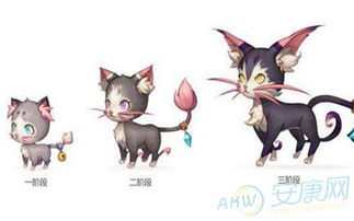 好听的游戏宠物名字,游戏宠物名字大盘点