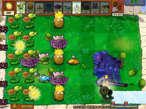 植物大战游戏,保卫家园的植物传奇