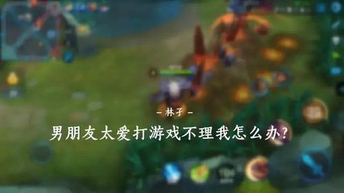 爱打游戏,揭秘爱打游戏者的奇幻旅程