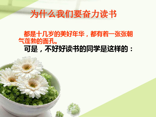 上面是日下面是成读什么_上面下面是什么词_上面读音是什么