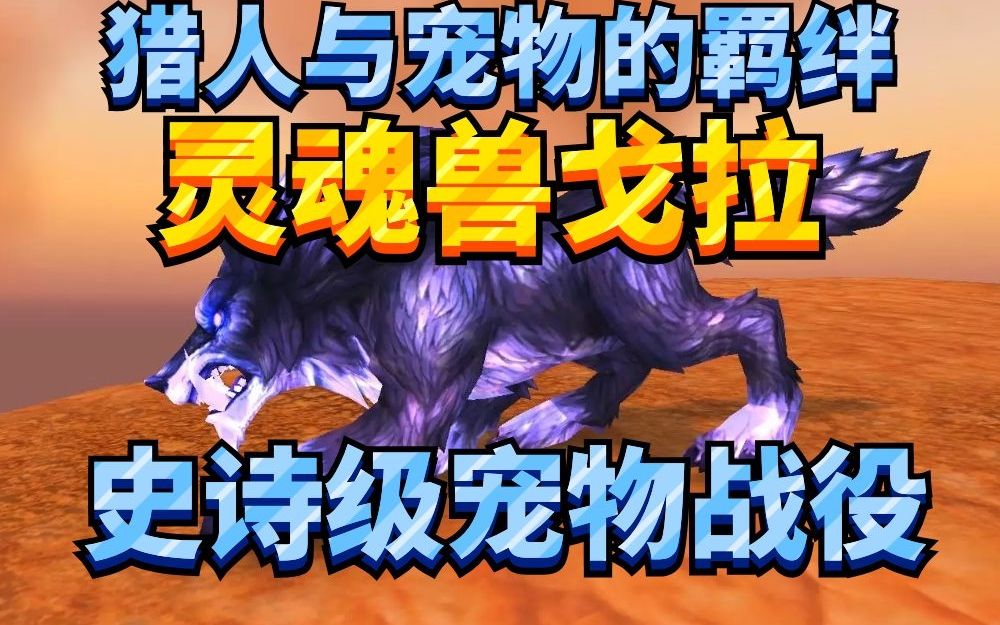 7.3猎人灵魂兽大全带图_魔兽猎人灵魂兽大全_wow6.2猎人灵魂兽大全