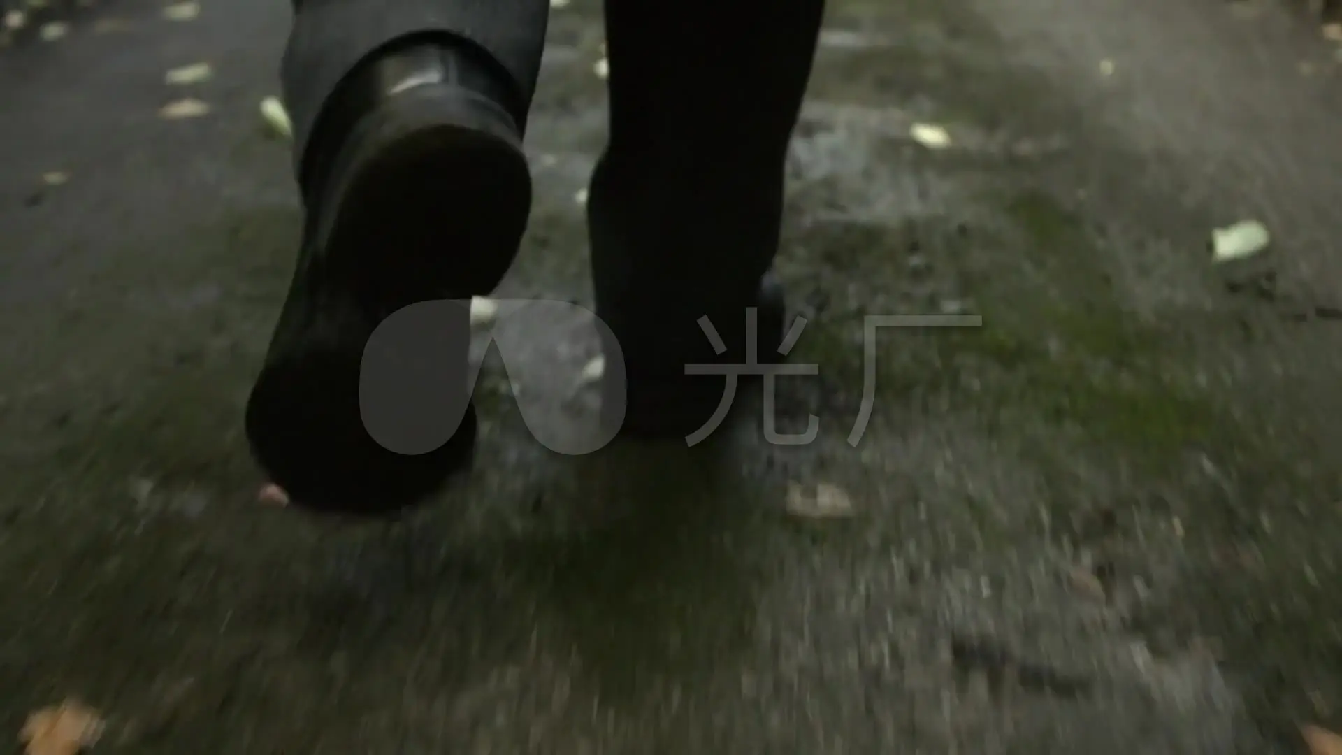 简单解释交换机和路由器的区别_简单解释一下用脚投票_苏教版五年级下成语解释大全