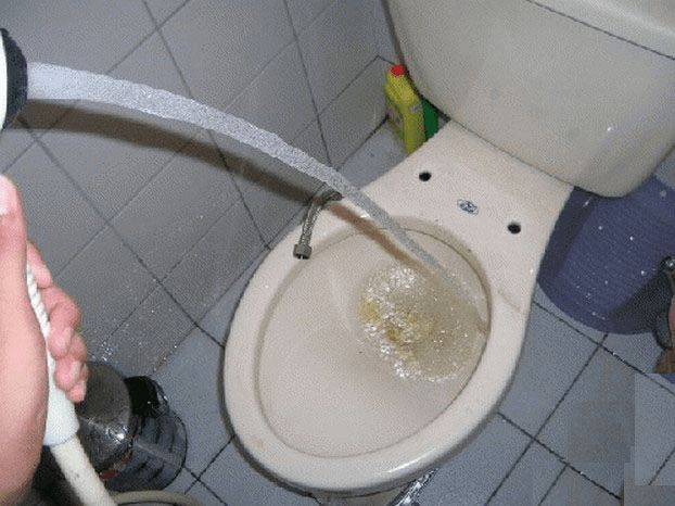 钢丝球掉马桶后没有堵_拉屎经常堵马桶_马桶被马桶刷子堵