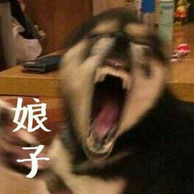 查询情头的另一半_查询情头网站_情头查询