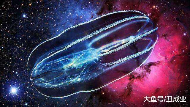 探索第二银河：壮丽景色让我惊叹