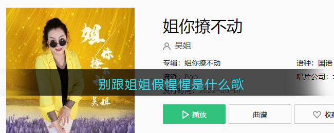 抖音姐姐好，姐姐妙全歌词第二集：欢快旋律，让你忍不住跟着唱