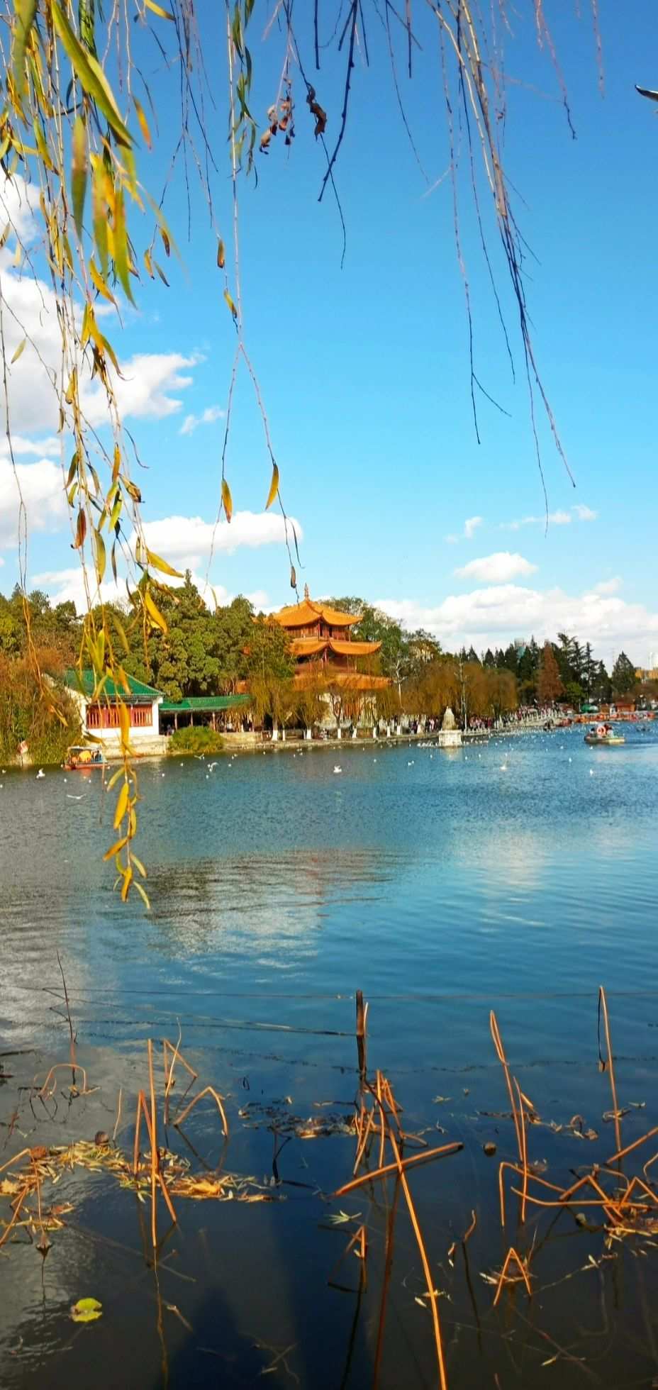 昆明无线电考试报名_昆明无线电管理局_无线昆明