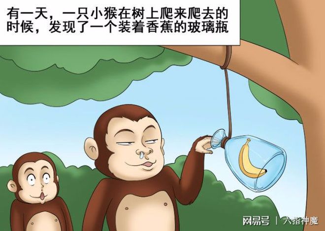猴子纸箱_猴子行李箱_猴子工具箱