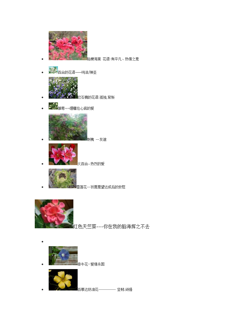 花语下载软件_花语下载牢记字母_花语app下载