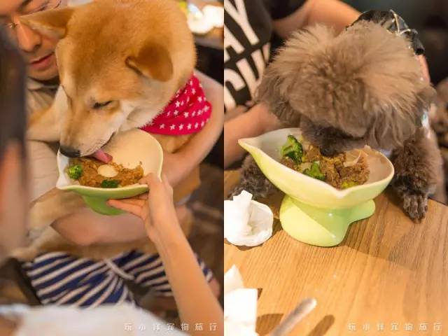 餐厅动物下载安装_qq农场牧场餐厅三合一下载_动物餐厅下载