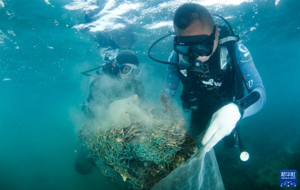 深海环境揭秘：海底清洁工带您探秘海洋奥秘