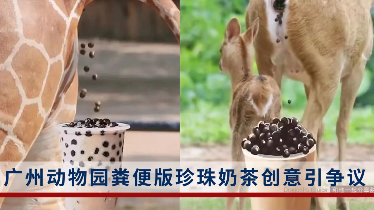 适合寒假玩的手游_寒假适合玩的游戏_适合寒假入坑的手机游戏