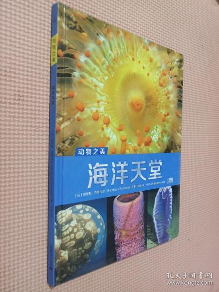 手机版好玩的海岛生存游戏 手机版海岛生存游戏第2季第16集惊