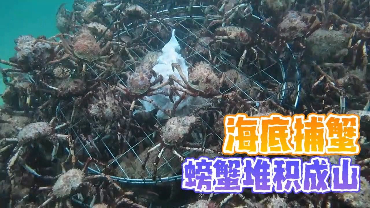 海底大猎杀大螃蟹_海底大猎杀螃蟹掉落的法杖_海底大猎杀中文版 螃蟹