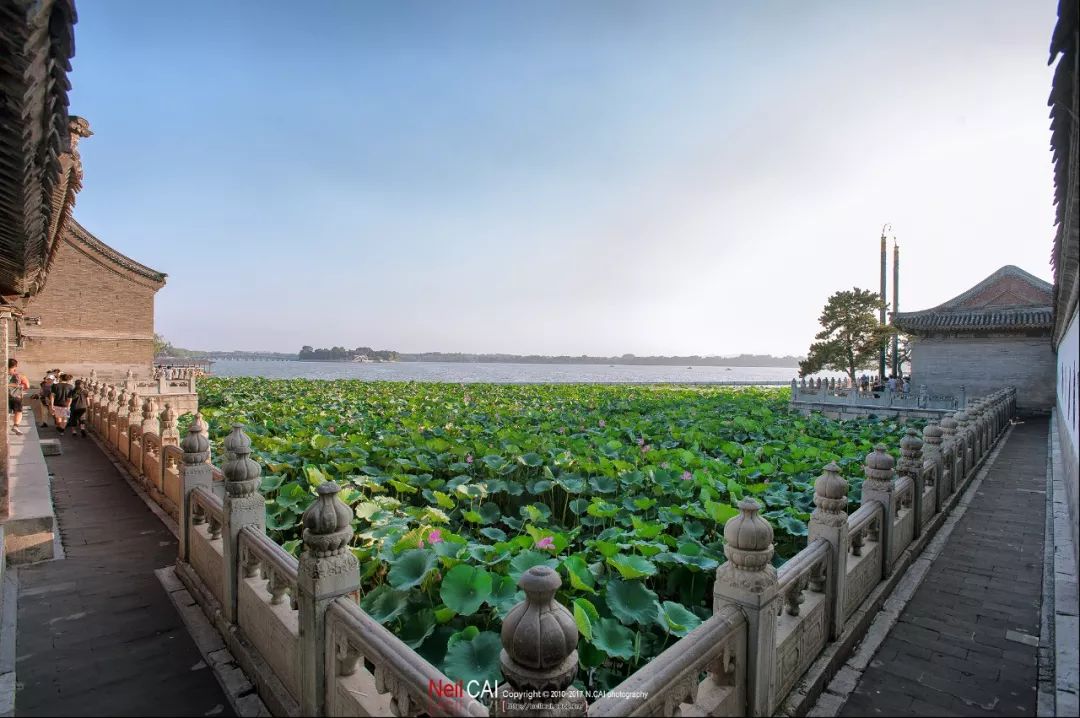 夏至避暑北池_夏至避暑北池诗配画_夏至避暑北池全诗意思