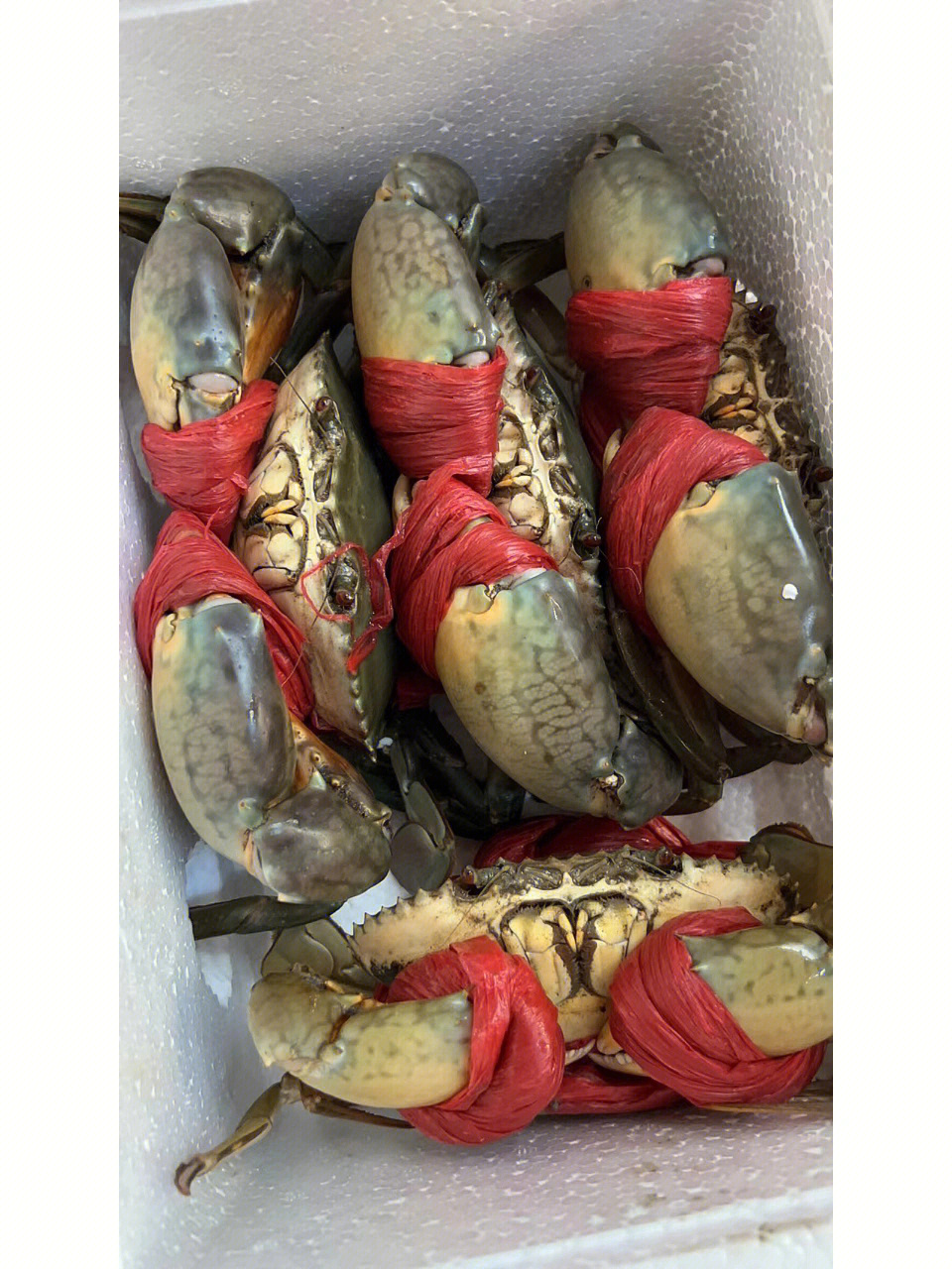 海底猎杀手游版_海底猎杀海_海底大猎杀crab madness是什么模式