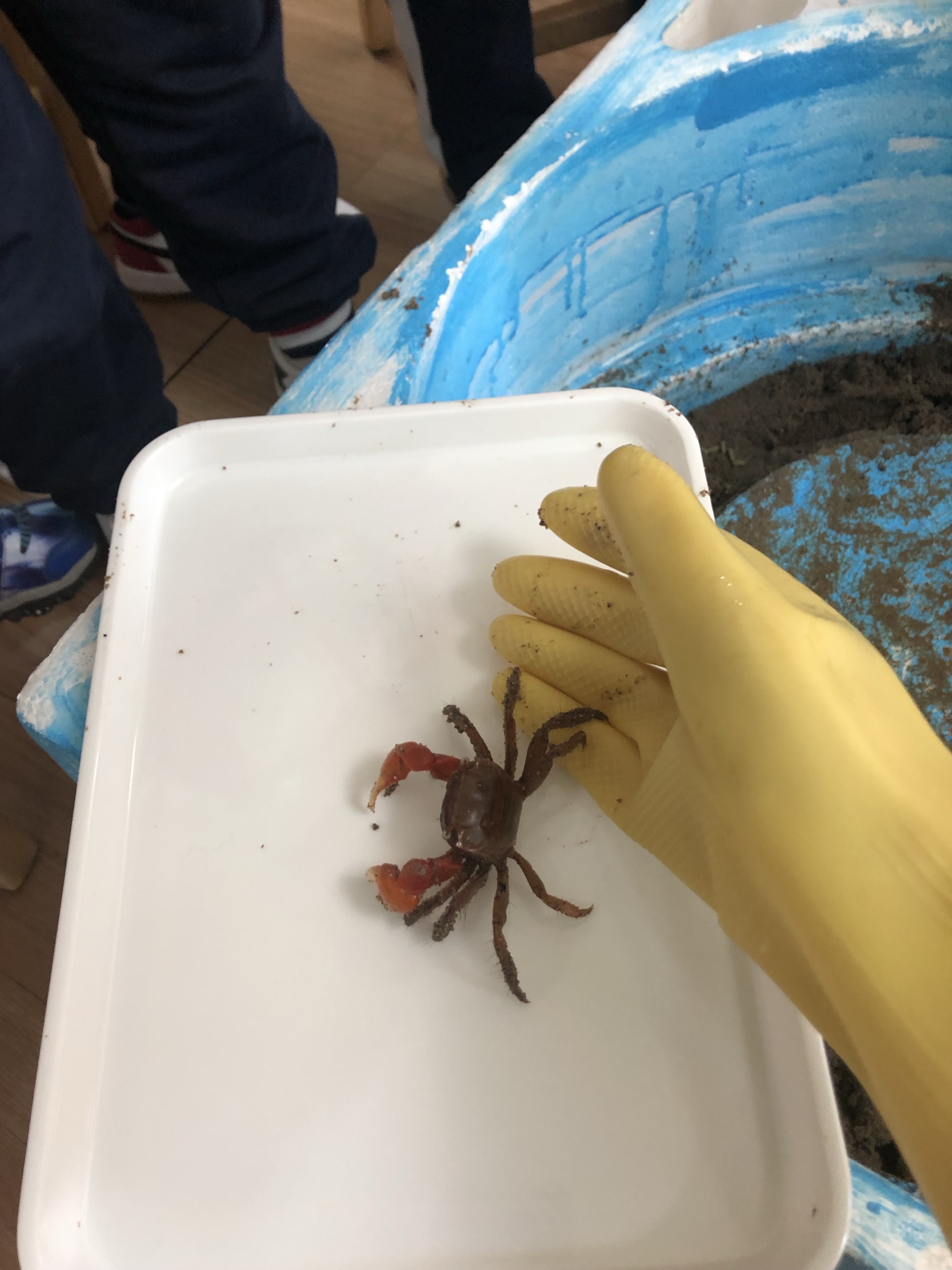 海底猎杀海_海底猎杀小游戏_海底大猎杀crab madness是什么模式