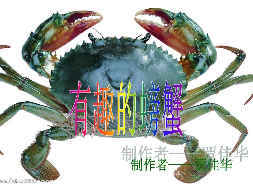 海底大猎杀crab madness是什么模式_海底猎杀海_海底猎杀小游戏
