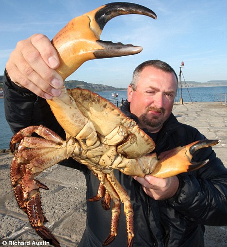 海底猎杀手游版_海底猎杀小游戏_海底大猎杀crab madness是什么模式