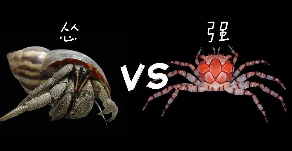 底大猎杀海底大猎杀_海底猎杀海_海底大猎杀crab madness是什么模式