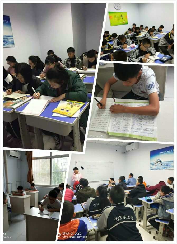 大力爱辅导下载安装免费_辅导作业app下载_辅导app下载安装