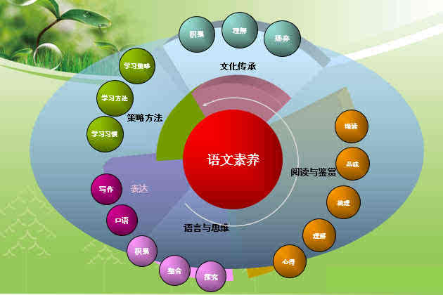 六年级学法大视野答案_学法大视野6年级上册2021_学法大视野六年级上册题目