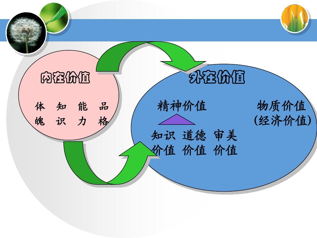 海贼王找的是one_什么是one_one是什么