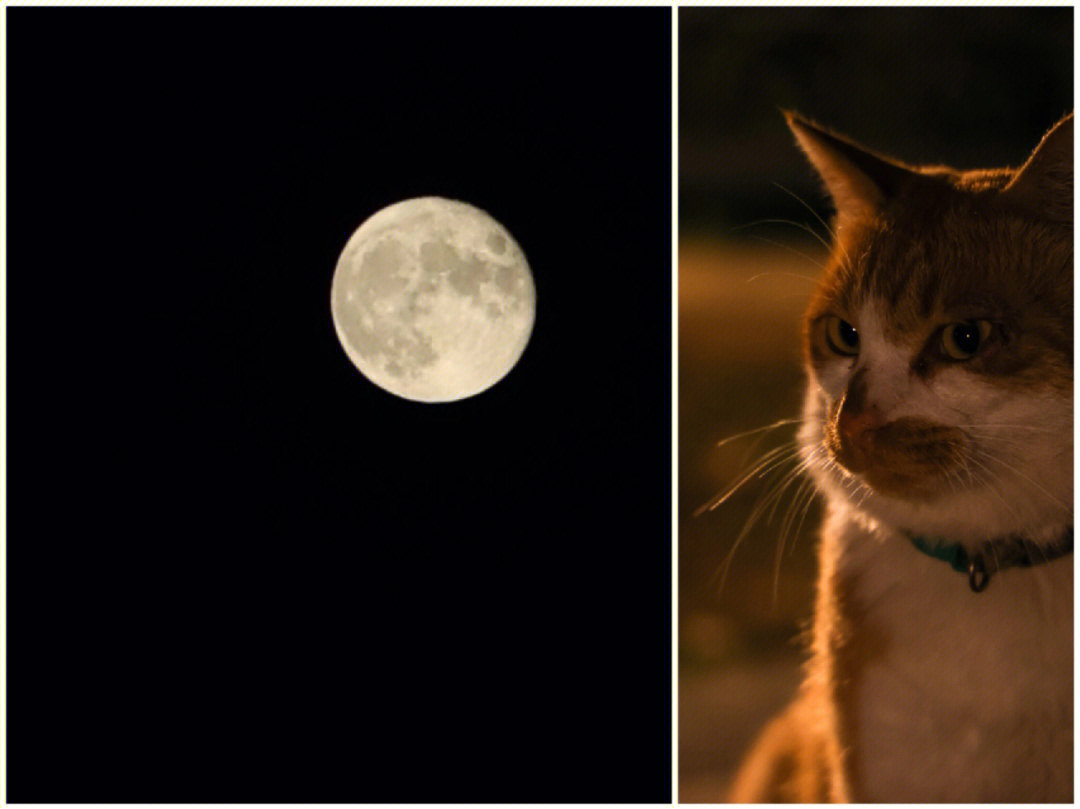 溜库云会员_库库云猫和大岸投资_溜云库