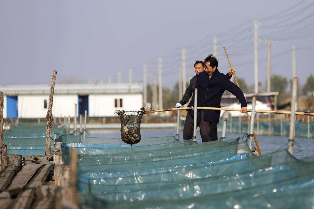 海底大猎杀crab madness是什么模式_海底猎杀小游戏_海底猎杀海